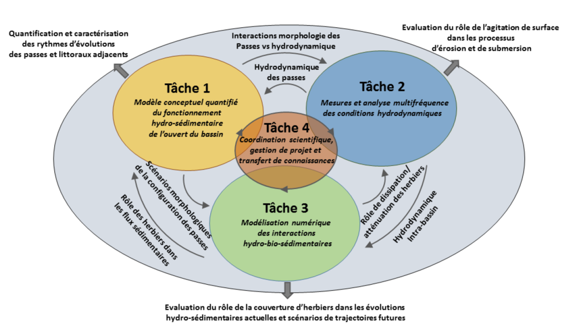 Organisation projet Arcade