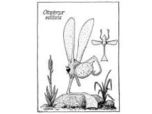 Illustration faune et flore